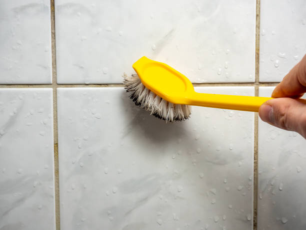 Best Mold Testing  in Lexington, TX