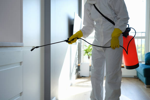 Best Residential Mold Removal  in Lexington, TX