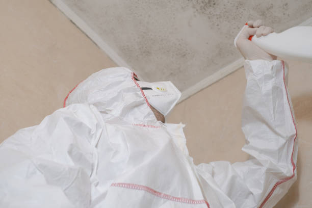 Best Residential Mold Removal  in Lexington, TX
