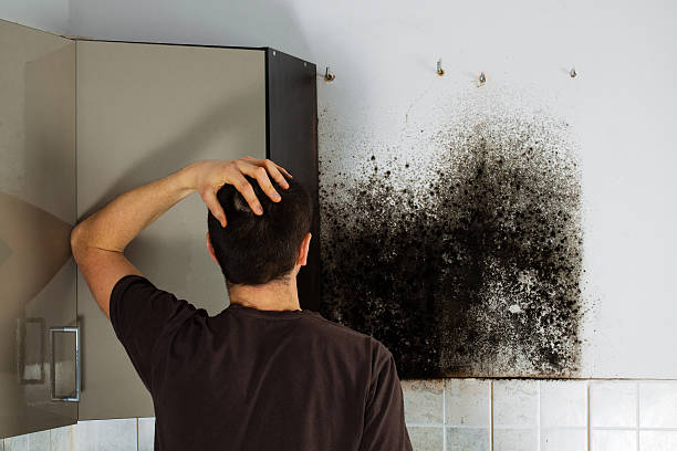 Best Mold Testing  in Lexington, TX